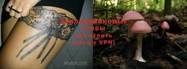 МДПВ Дмитров