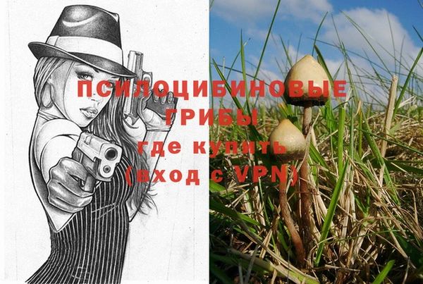 эйфоретик Дмитриев