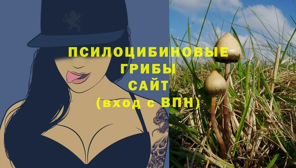 МДПВ Дмитров