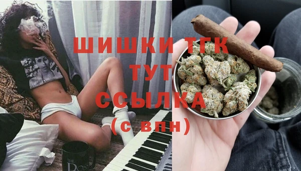 эйфоретик Дмитриев