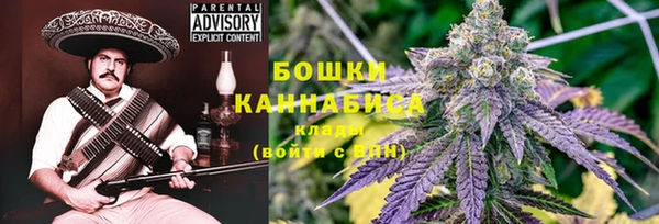 эйфоретик Дмитриев