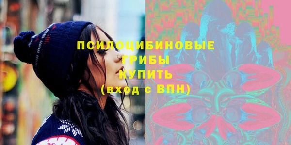 эйфоретик Дмитриев