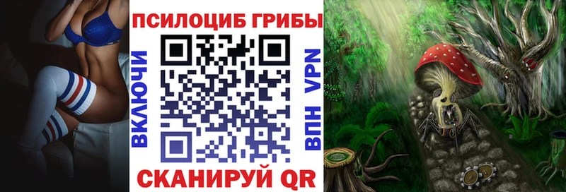 где можно купить   OMG ТОР  Псилоцибиновые грибы GOLDEN TEACHER  Боготол 